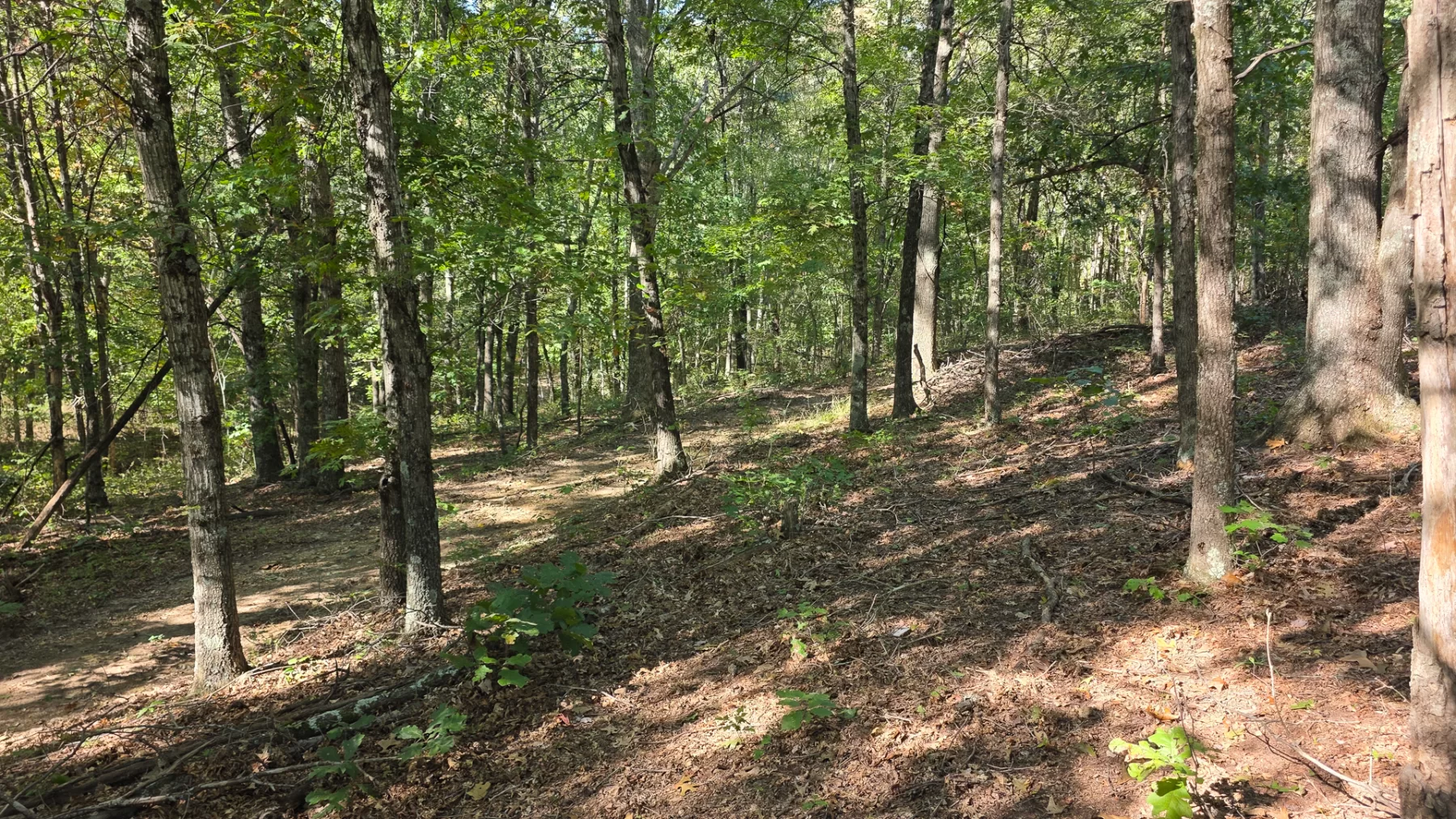 Keiser Woods – Tract 1 property photo 34