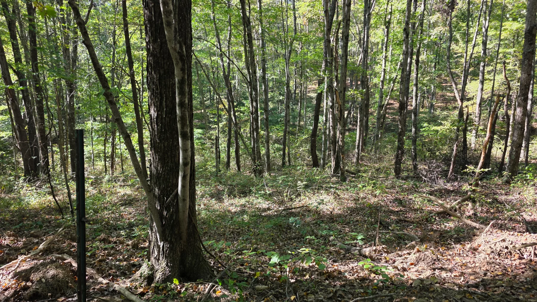 Keiser Woods – Tract 1 property photo 35