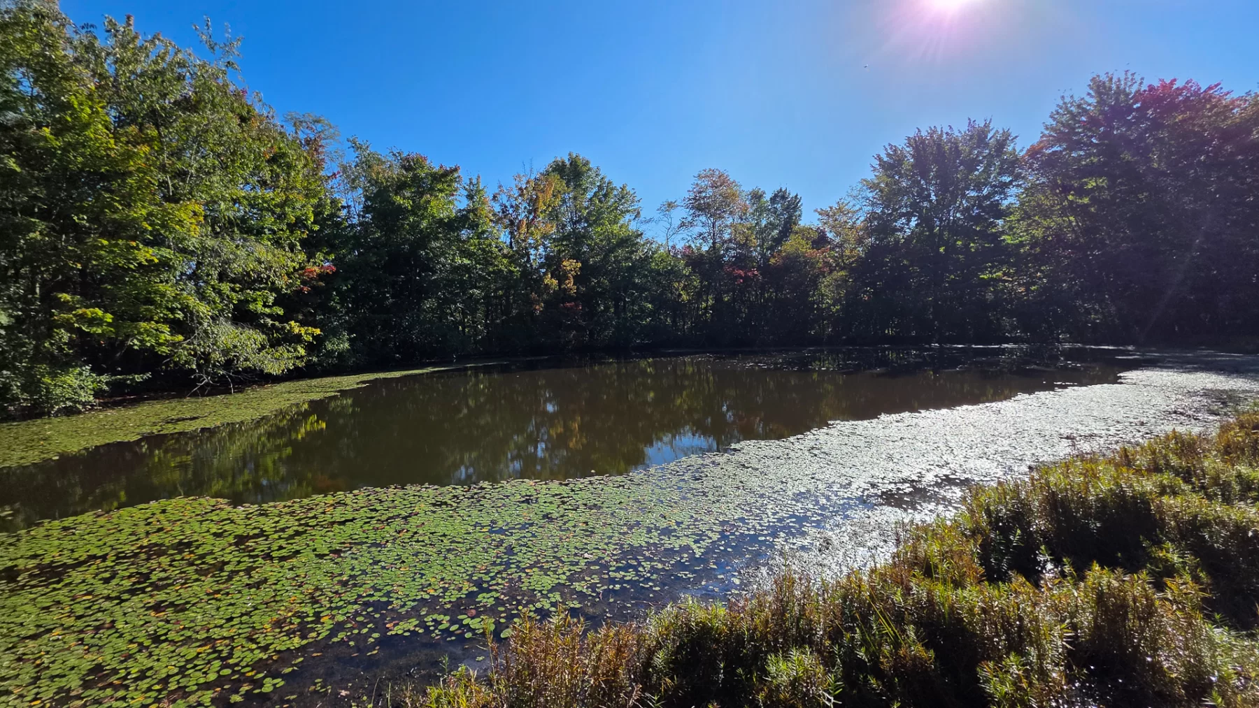 Keiser Woods – Tract 3 property photo 6