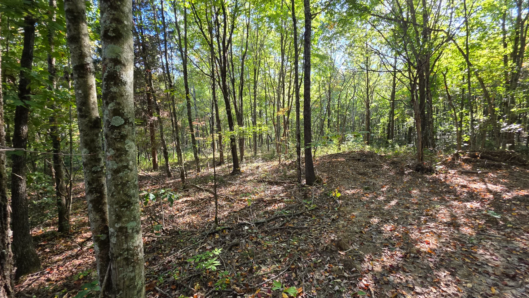 Keiser Woods – Tract 3 property photo 8