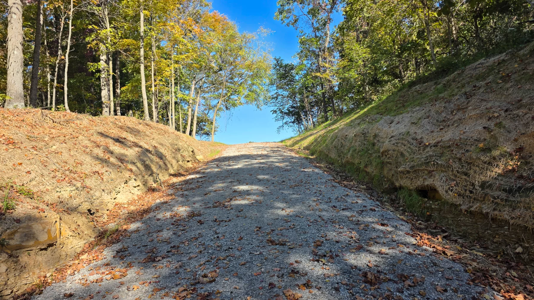 Keiser Woods – Tract 3 property photo 17