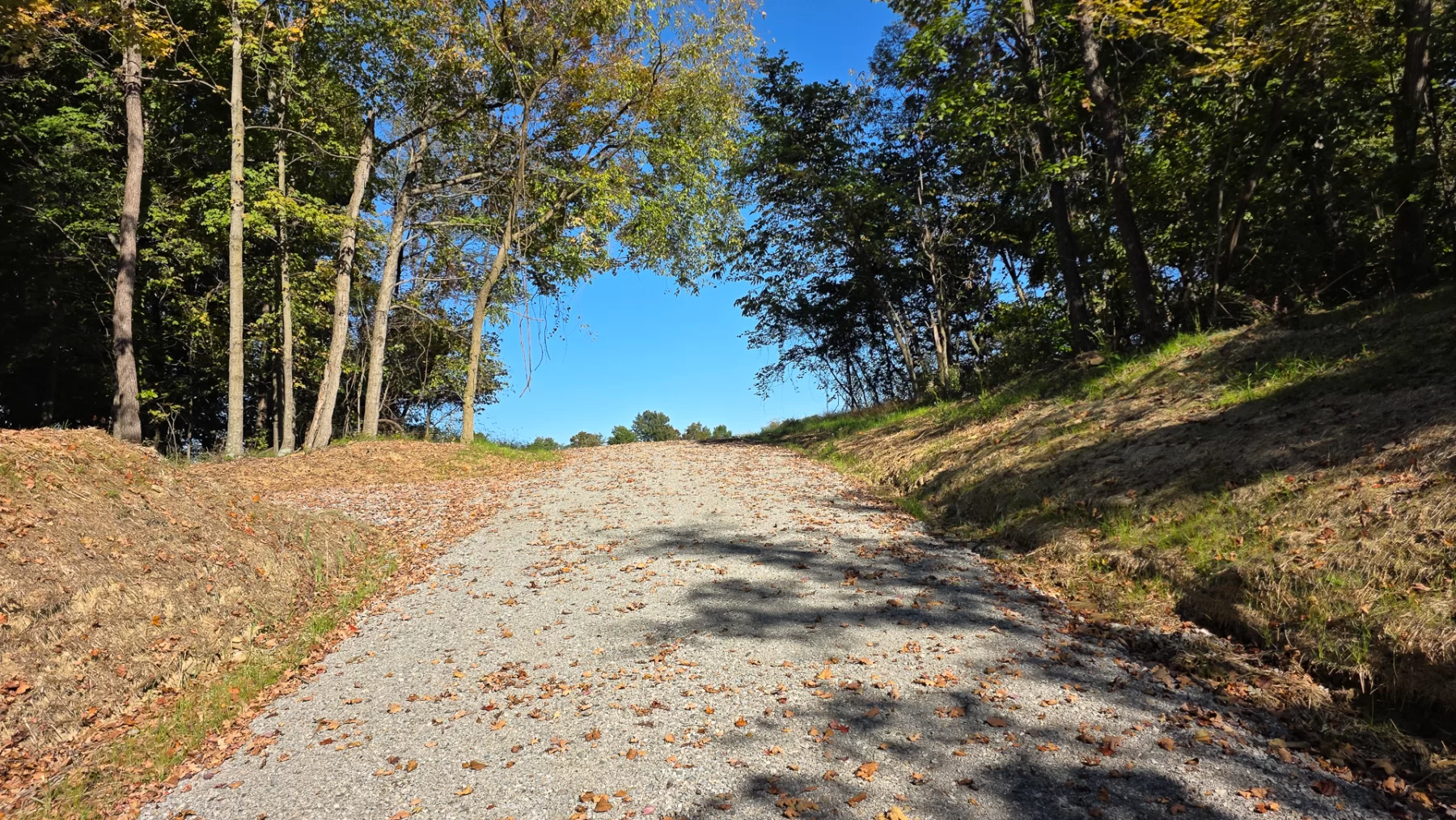 Keiser Woods – Tract 3 property photo 18