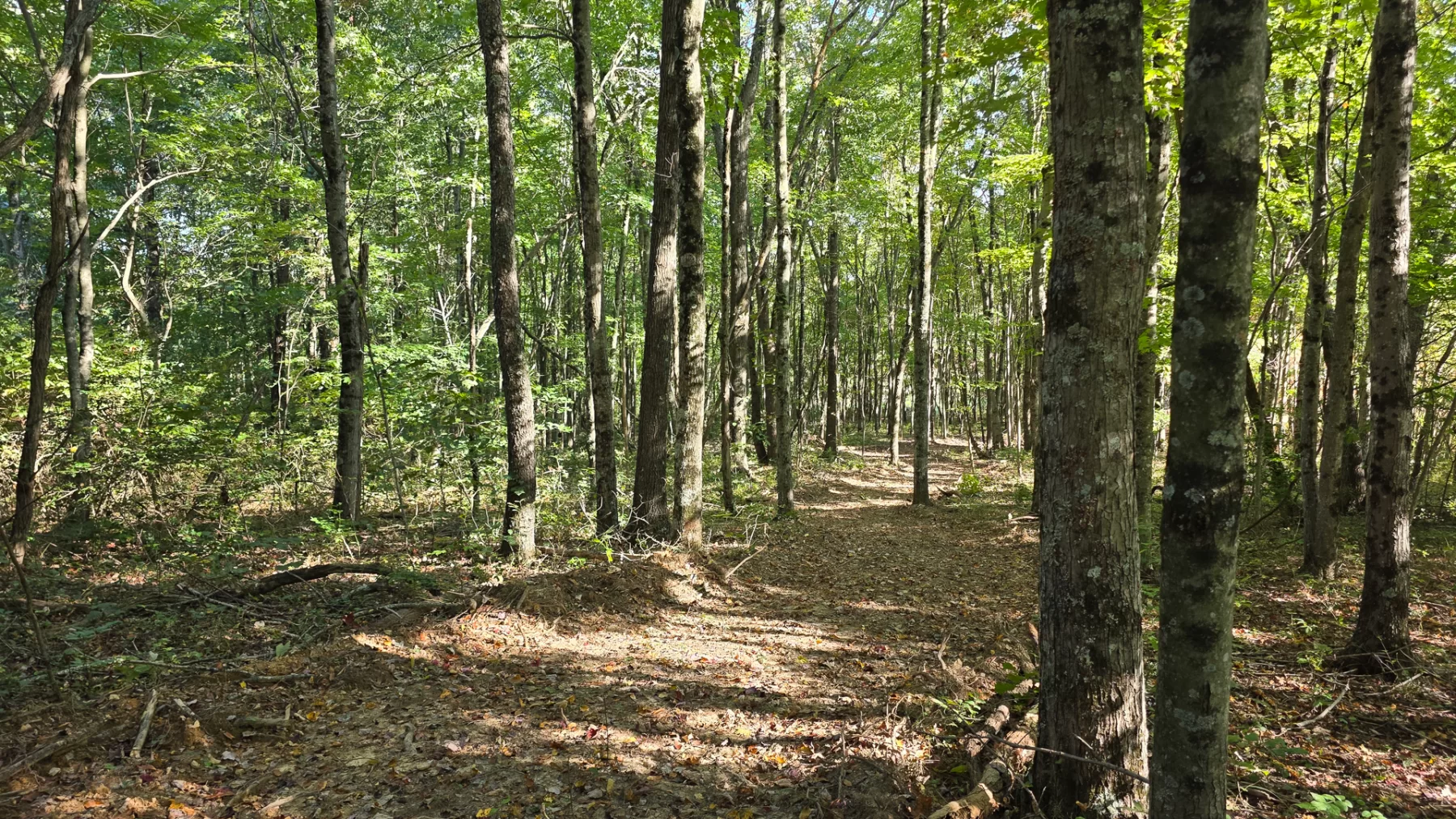 Keiser Woods – Tract 3 property photo 32