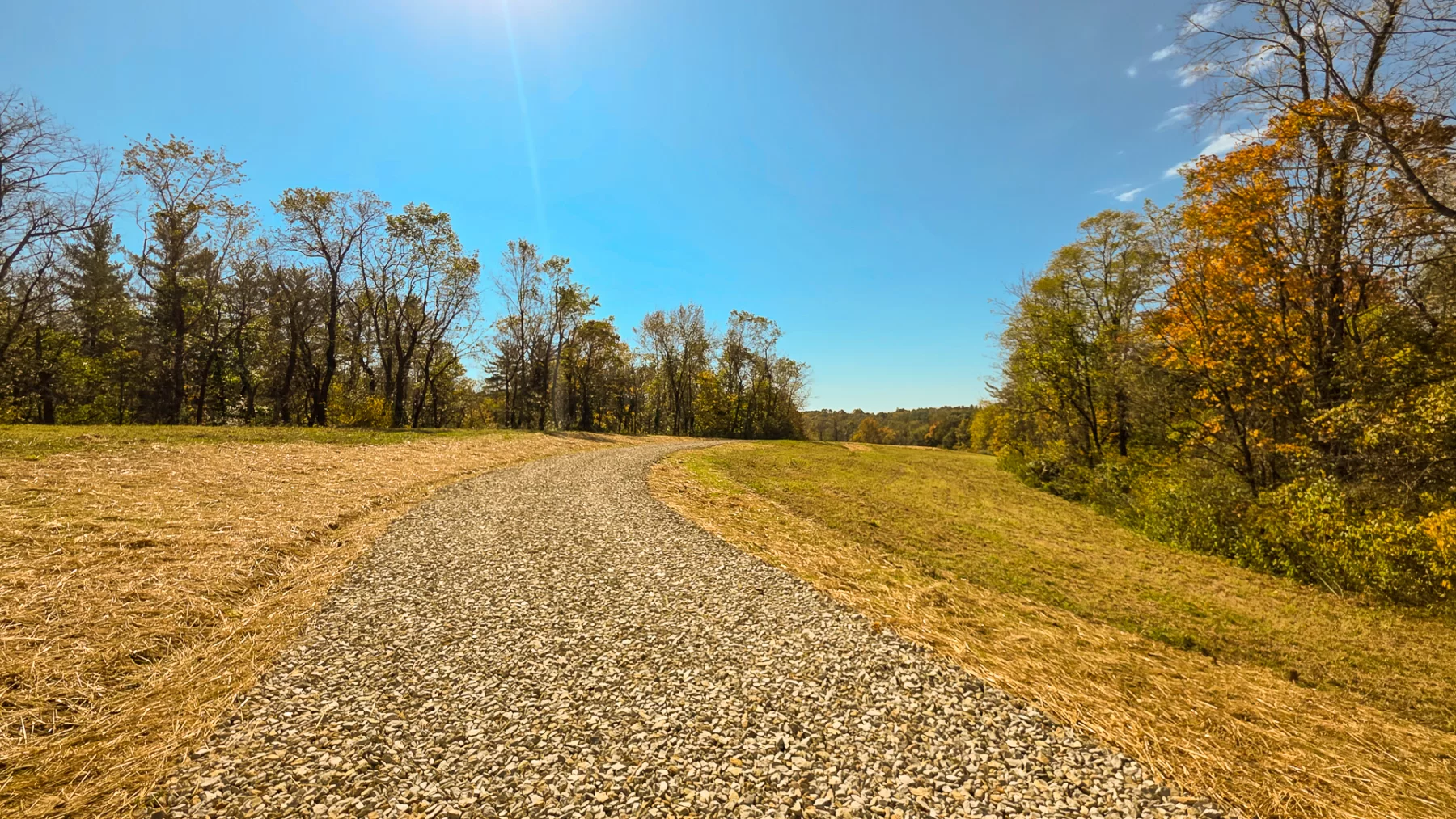 Lot 5 at Scenic Hills property photo 5