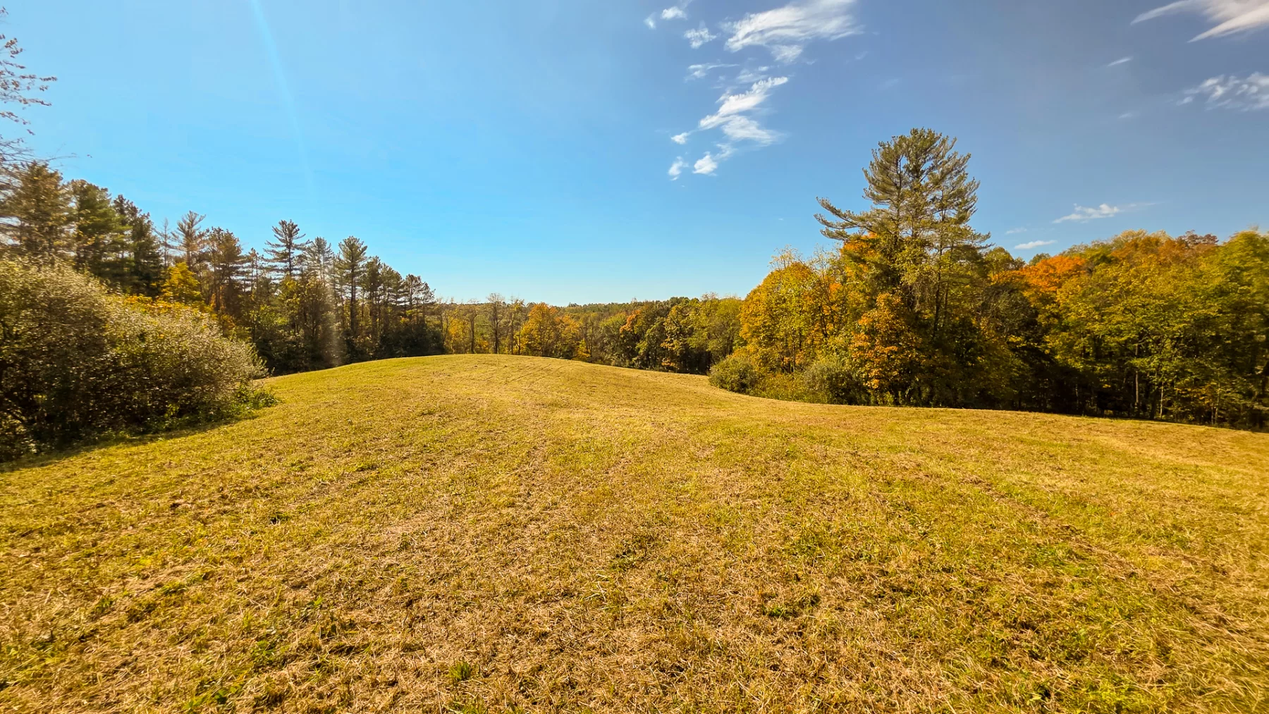 Lot 5 at Scenic Hills property photo 8