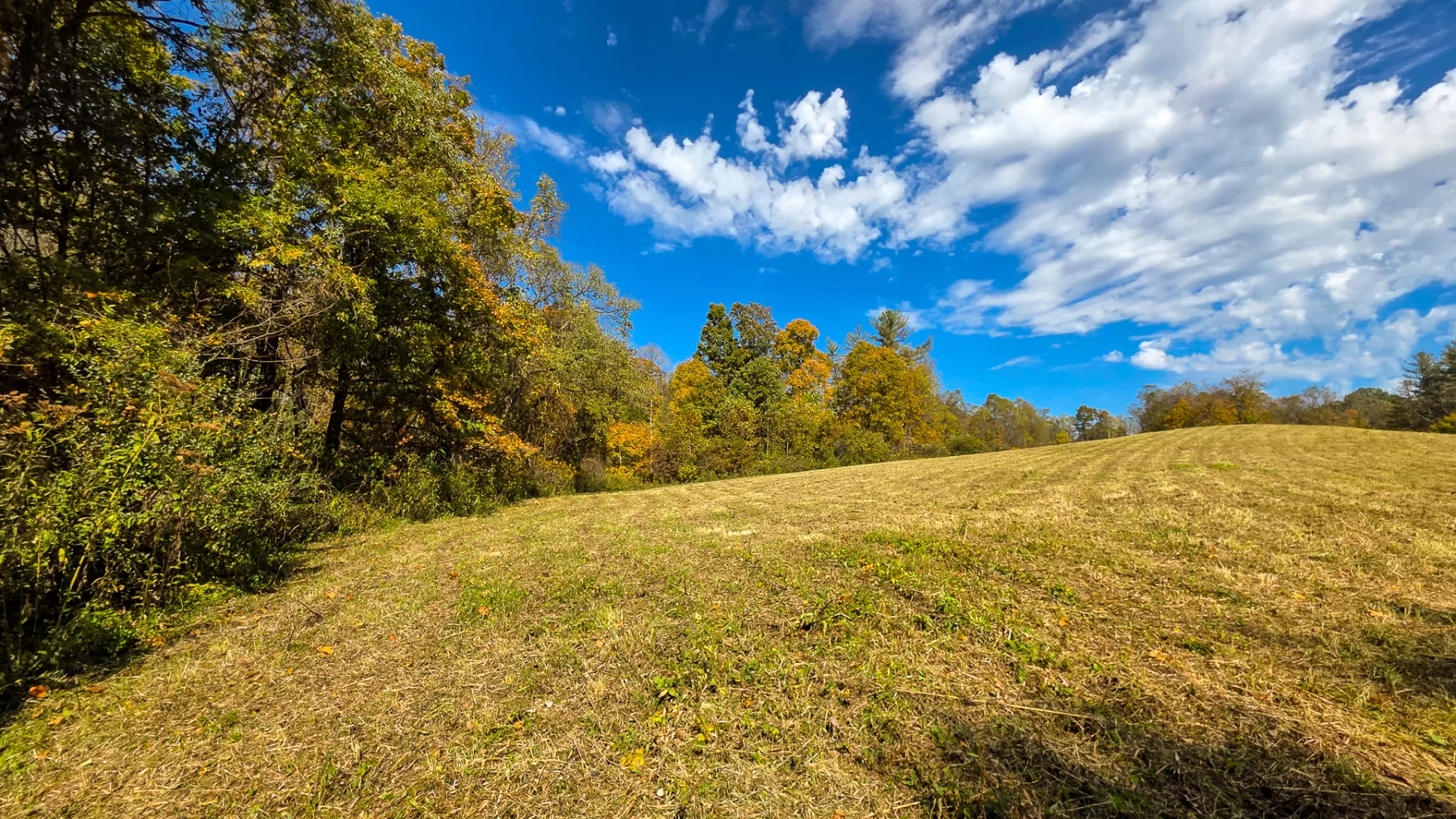 Lot 5 at Scenic Hills property photo 10