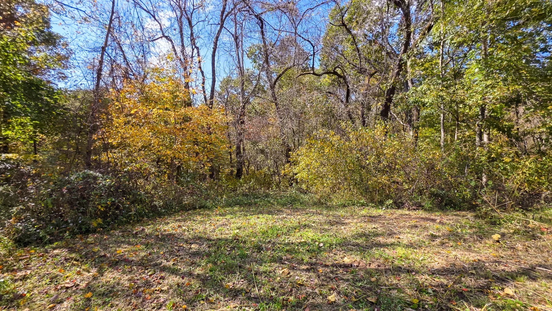 Lot 5 at Scenic Hills property photo 12