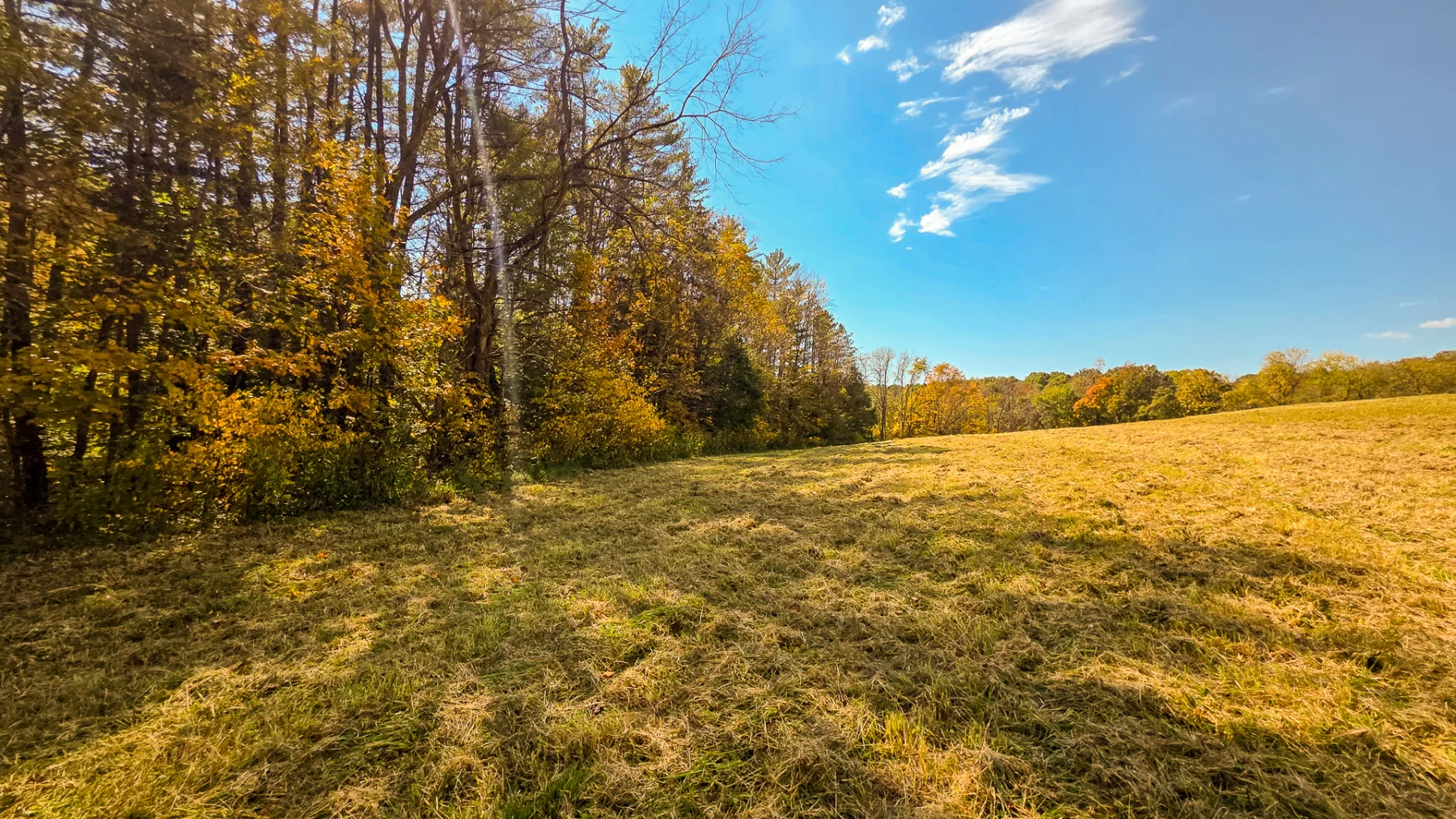 Lot 5 at Scenic Hills property photo 13