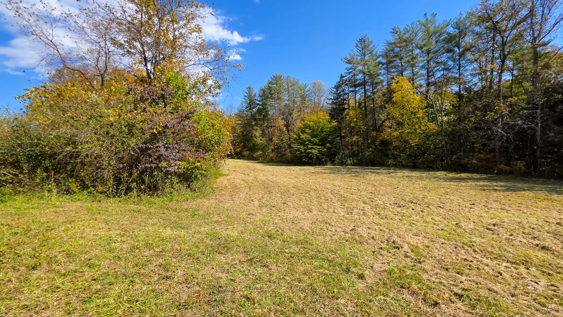 Lot 5 at Scenic Hills property photo 14