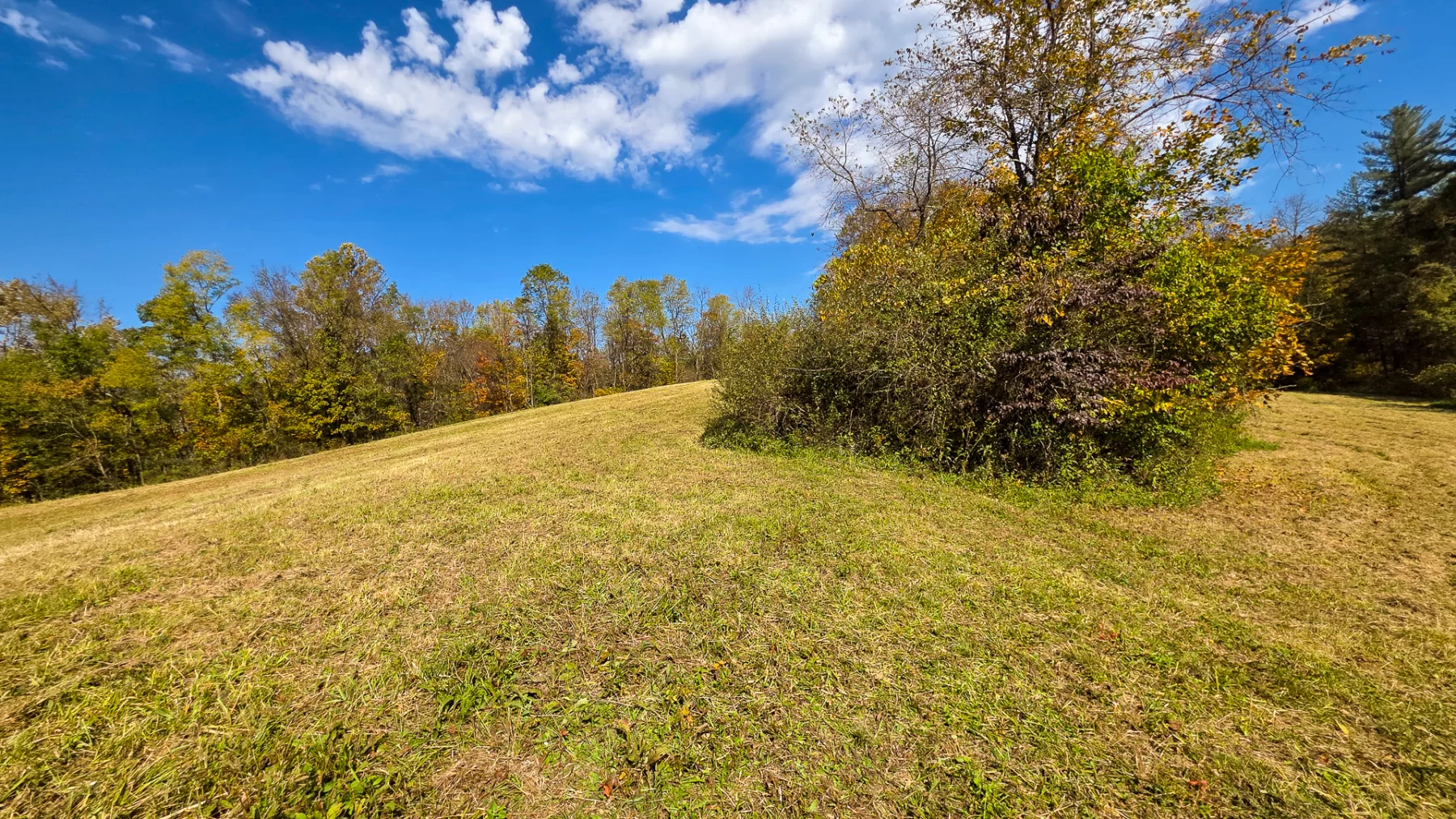 Lot 5 at Scenic Hills property photo 15