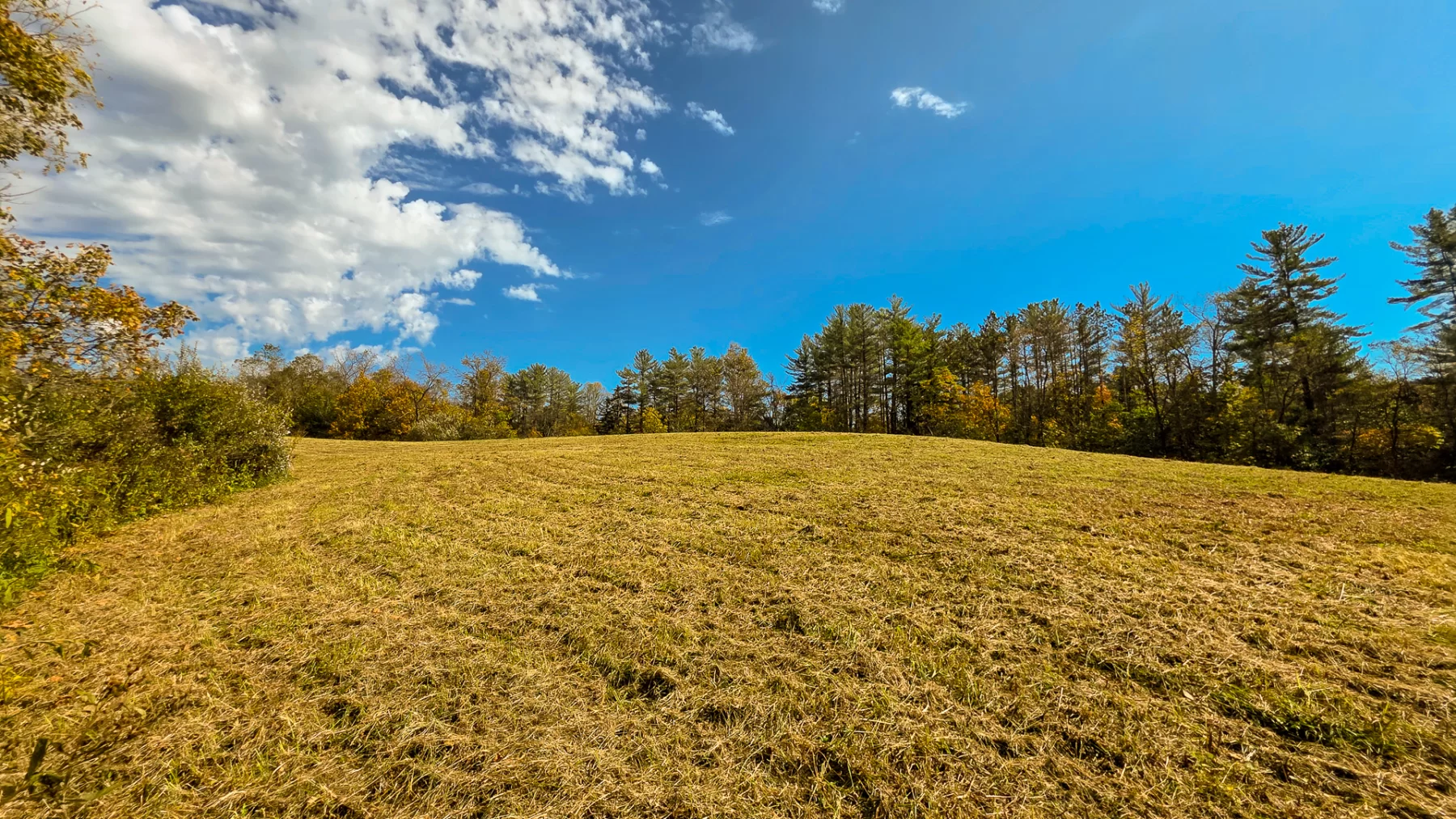Lot 5 at Scenic Hills property photo 16