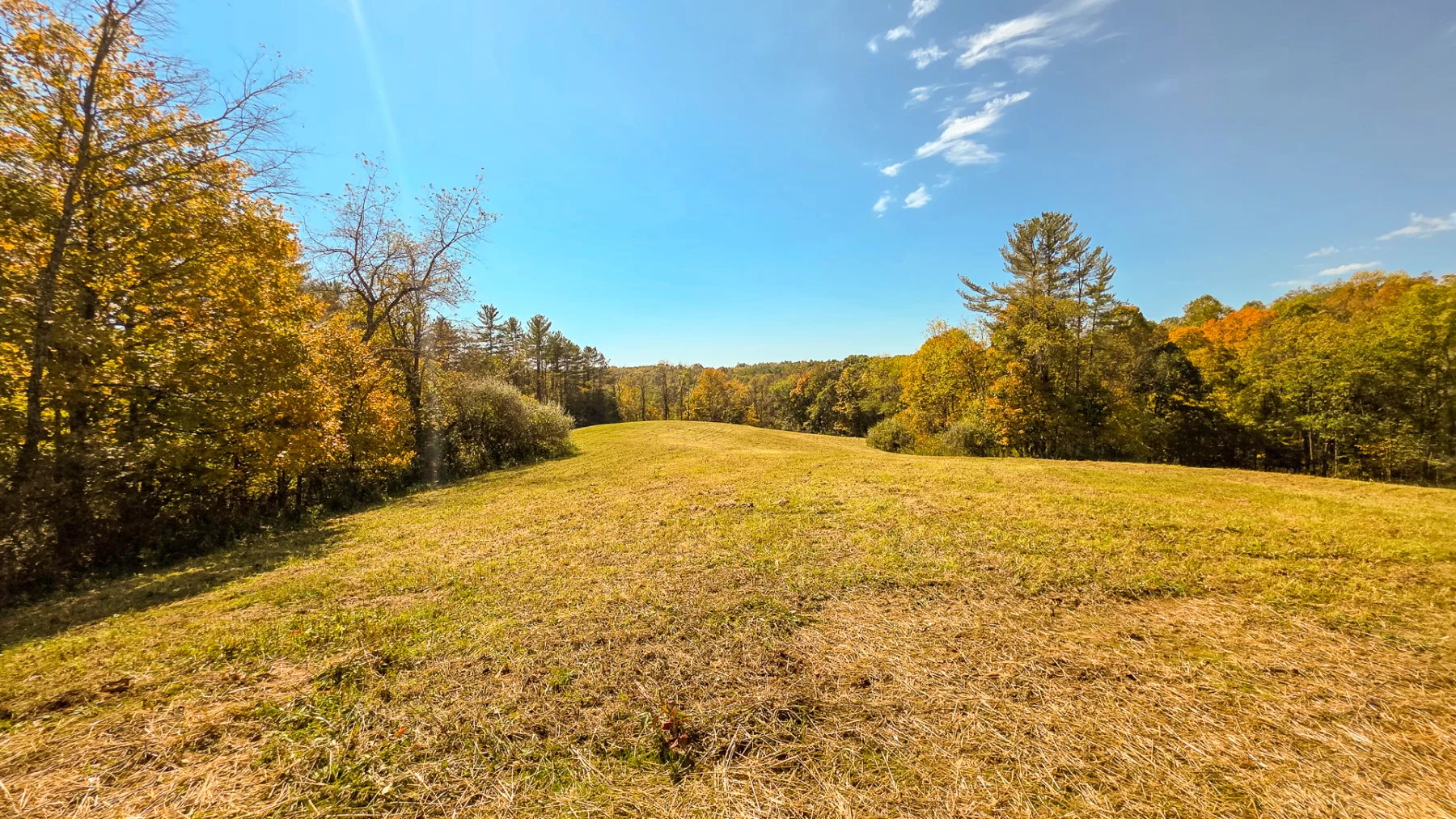 Lot 5 at Scenic Hills property photo 21