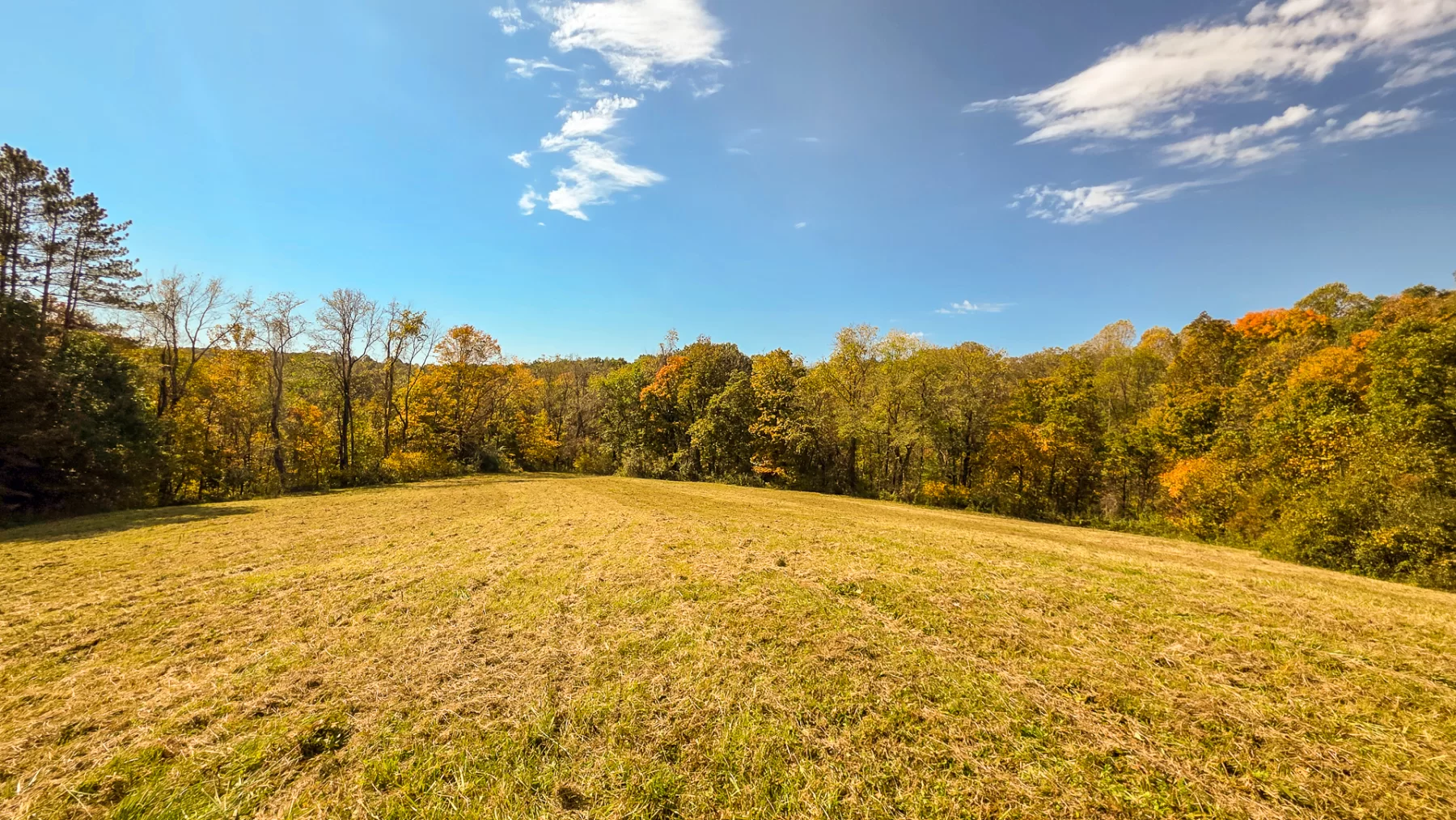 Lot 5 at Scenic Hills property photo 22