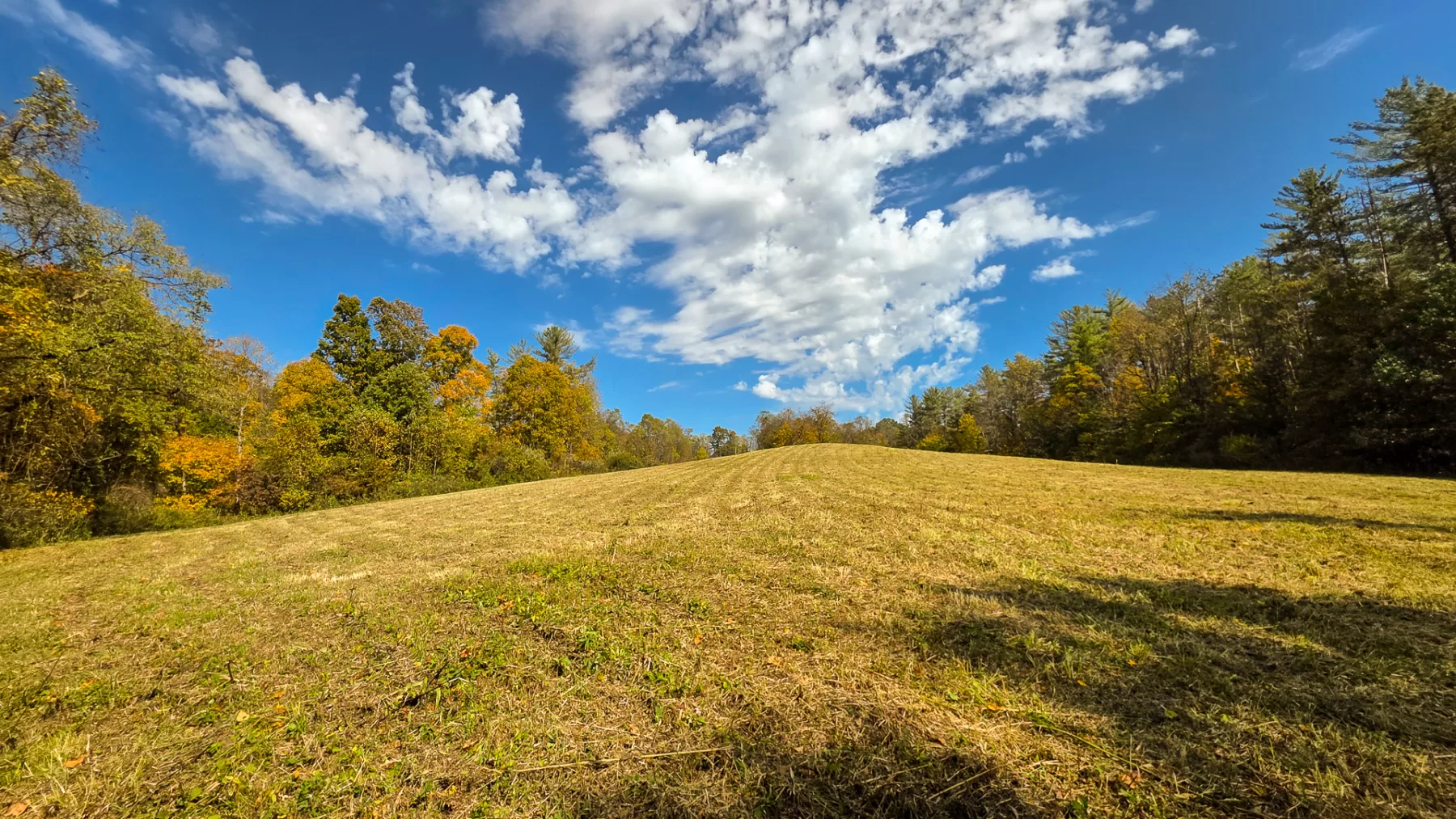 Lot 5 at Scenic Hills property photo 23