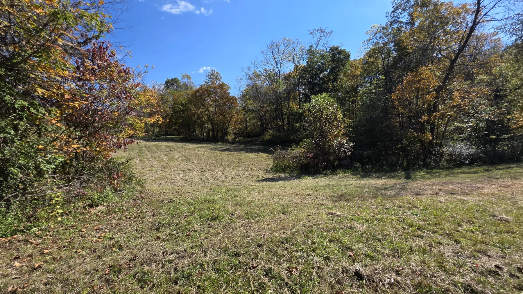 Lot 3 at Scenic Hills property photo 7