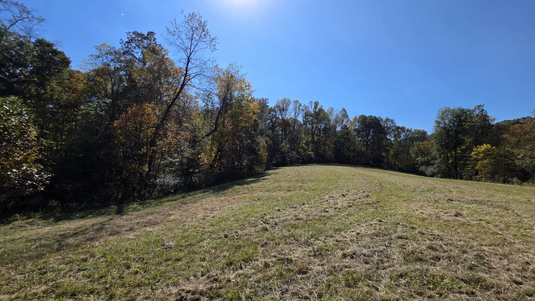 Lot 3 at Scenic Hills property photo 8