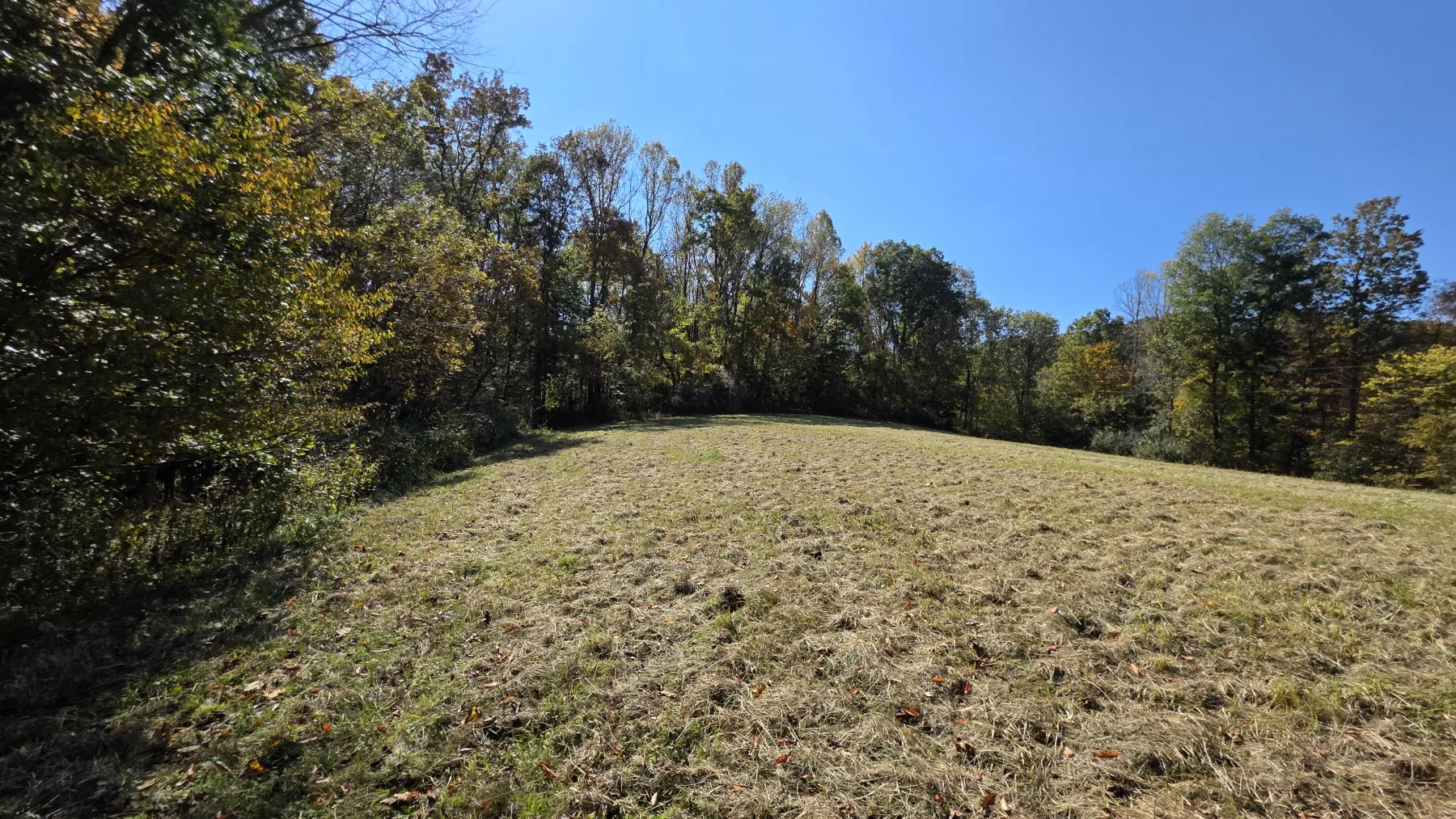 Lot 3 at Scenic Hills property photo 9