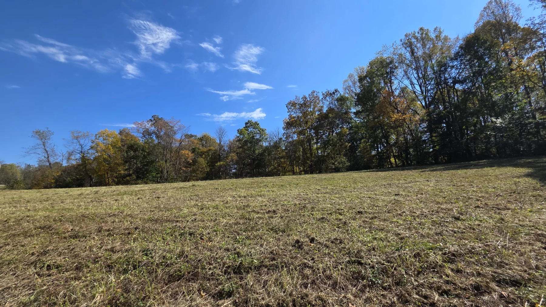 Lot 3 at Scenic Hills property photo 10
