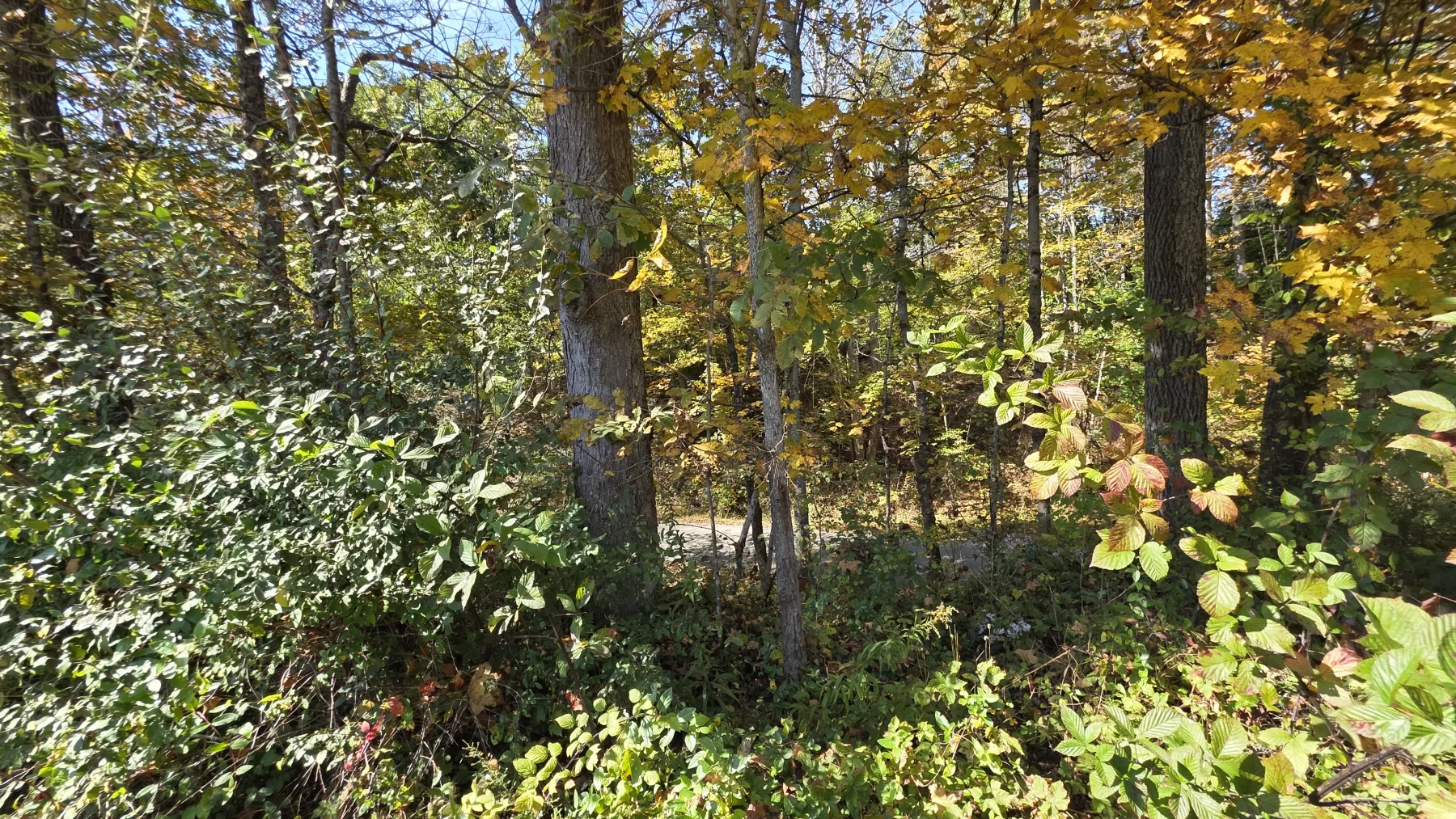 Lot 3 at Scenic Hills property photo 12