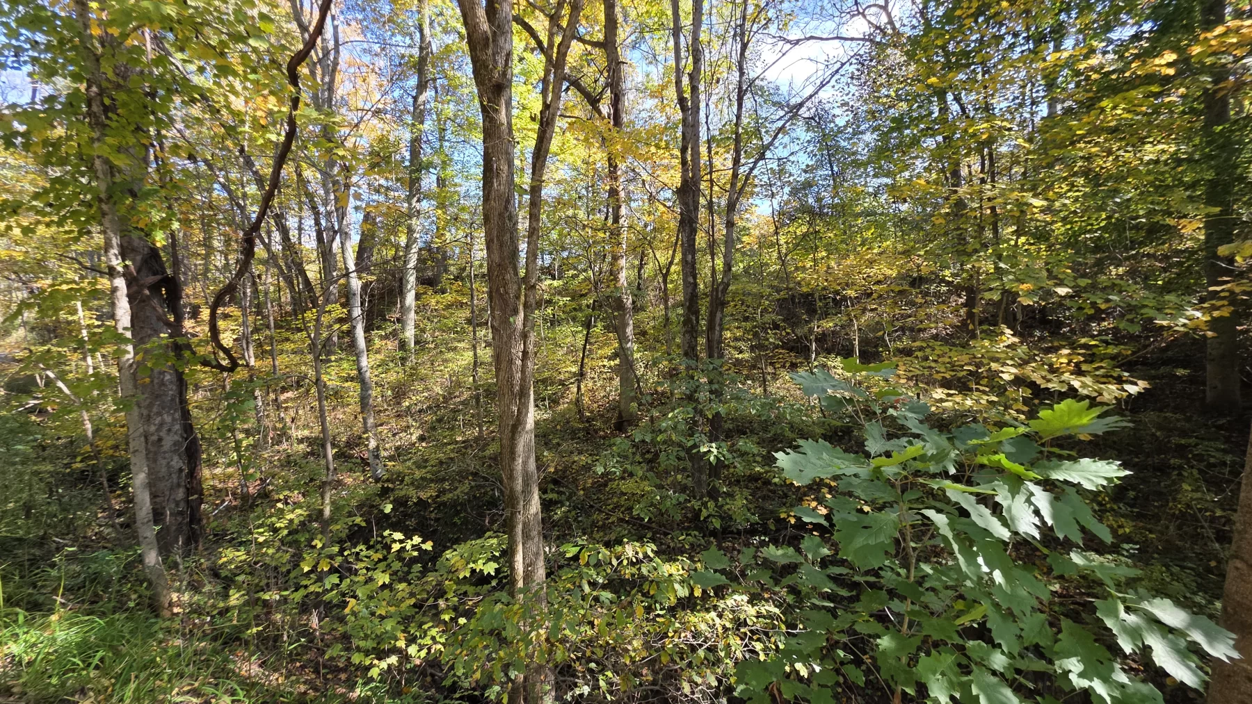 Lot 3 at Scenic Hills property photo 13