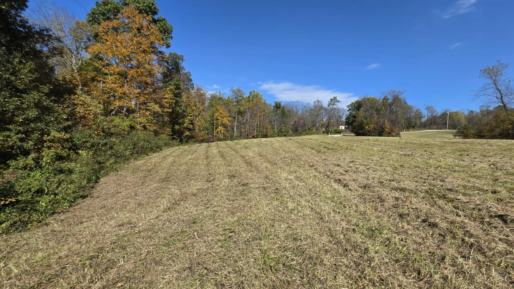 Lot 3 at Scenic Hills property photo 14