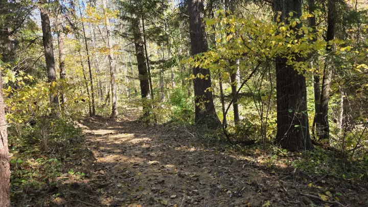 Lot 6 at Scenic Hills