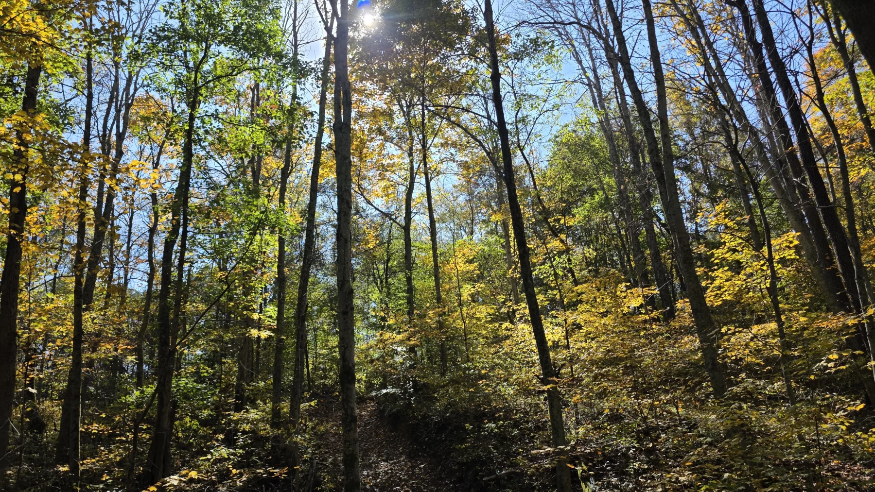 Lot 6 at Scenic Hills property photo 2