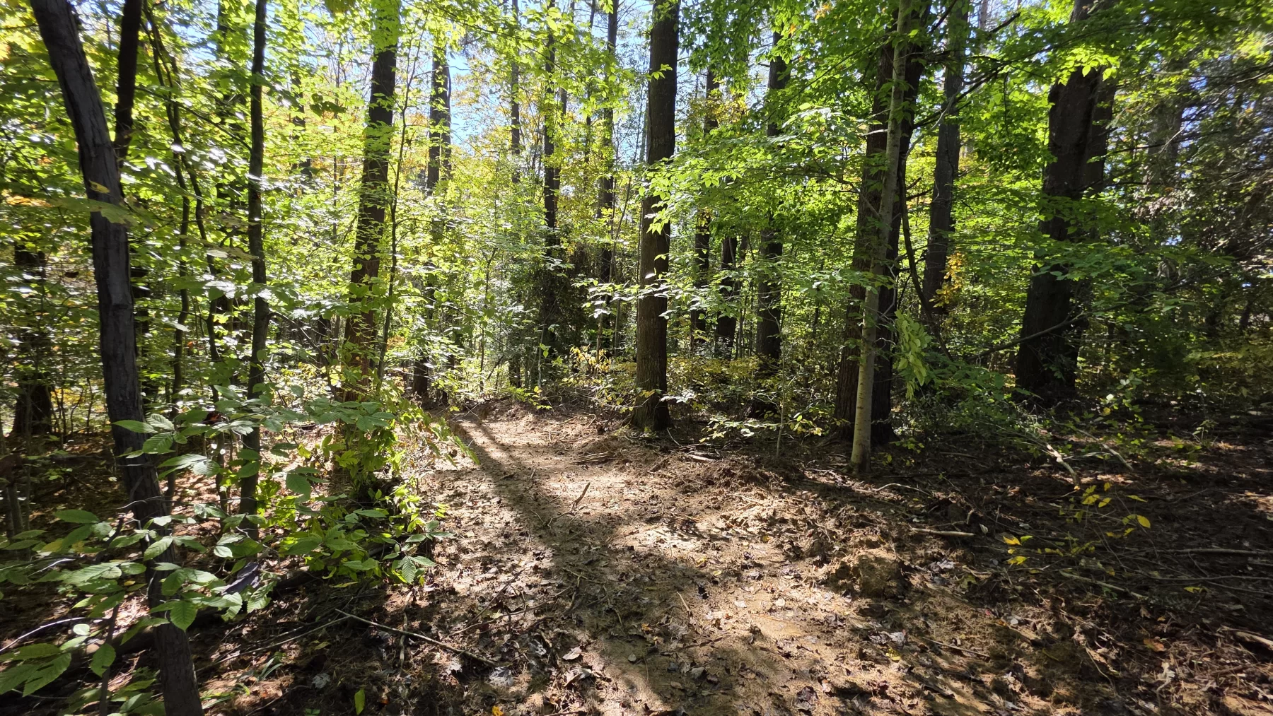 Lot 6 at Scenic Hills property photo 3
