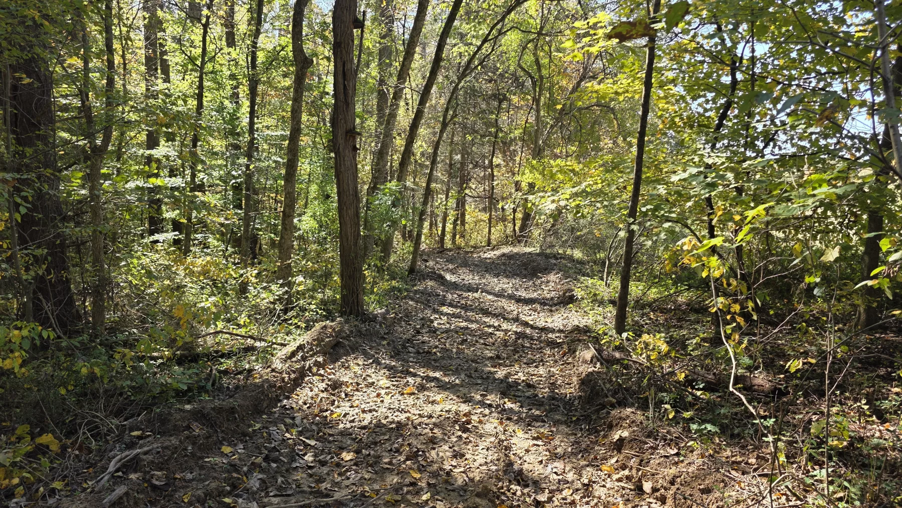 Lot 6 at Scenic Hills property photo 6