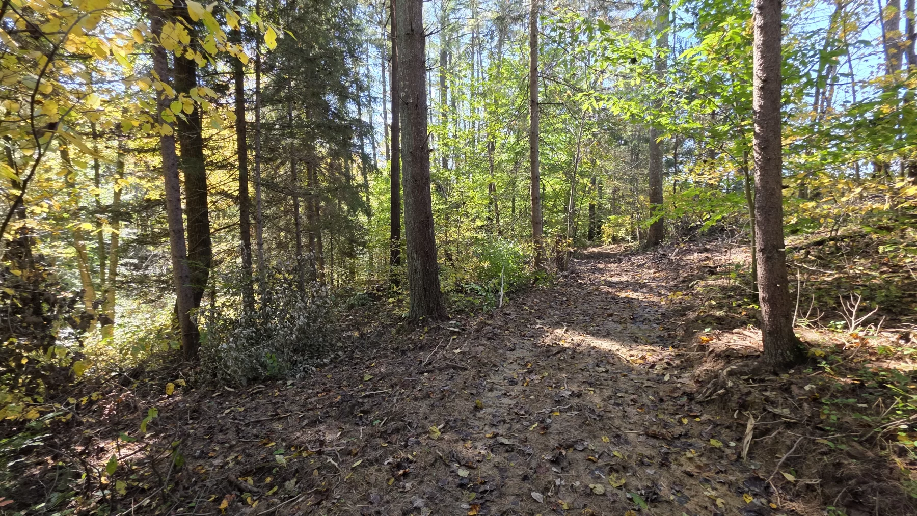 Lot 6 at Scenic Hills property photo 7