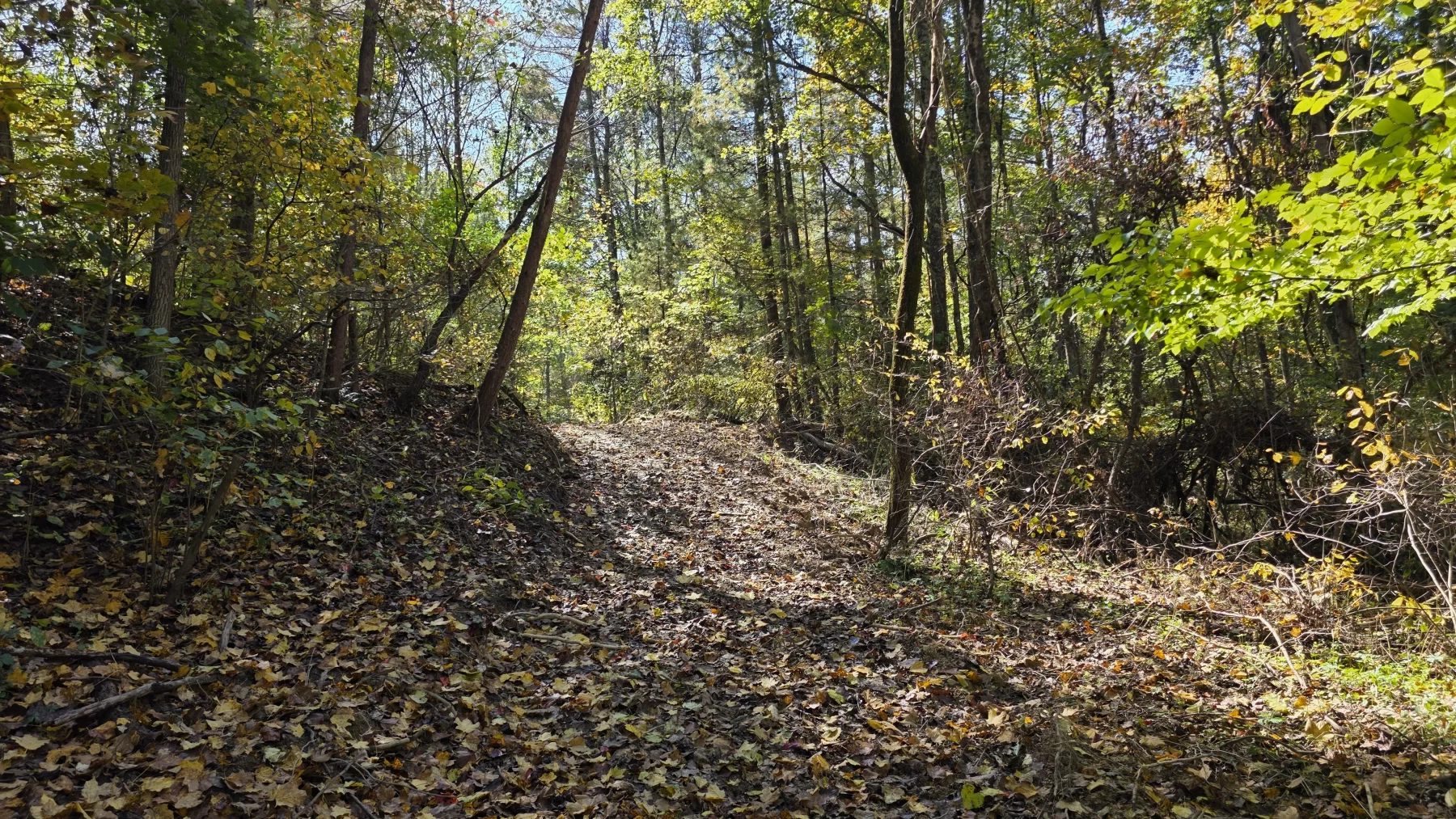Lot 6 at Scenic Hills property photo 11