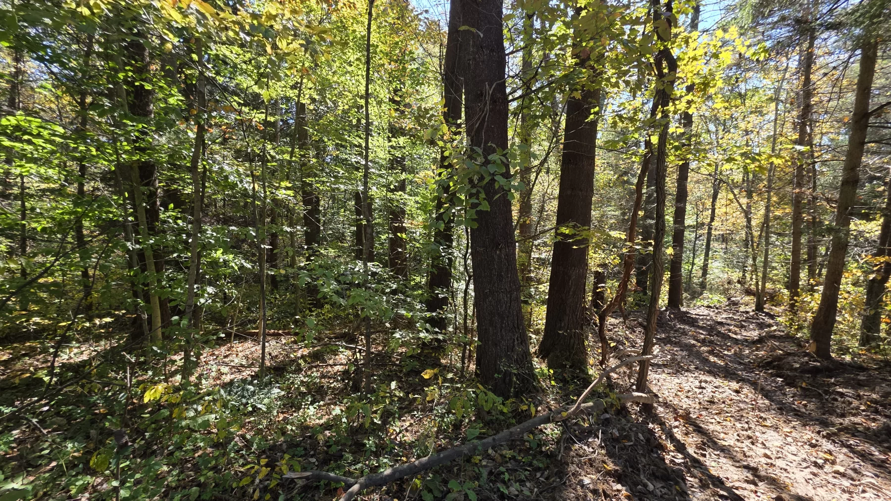 Lot 6 at Scenic Hills property photo 18