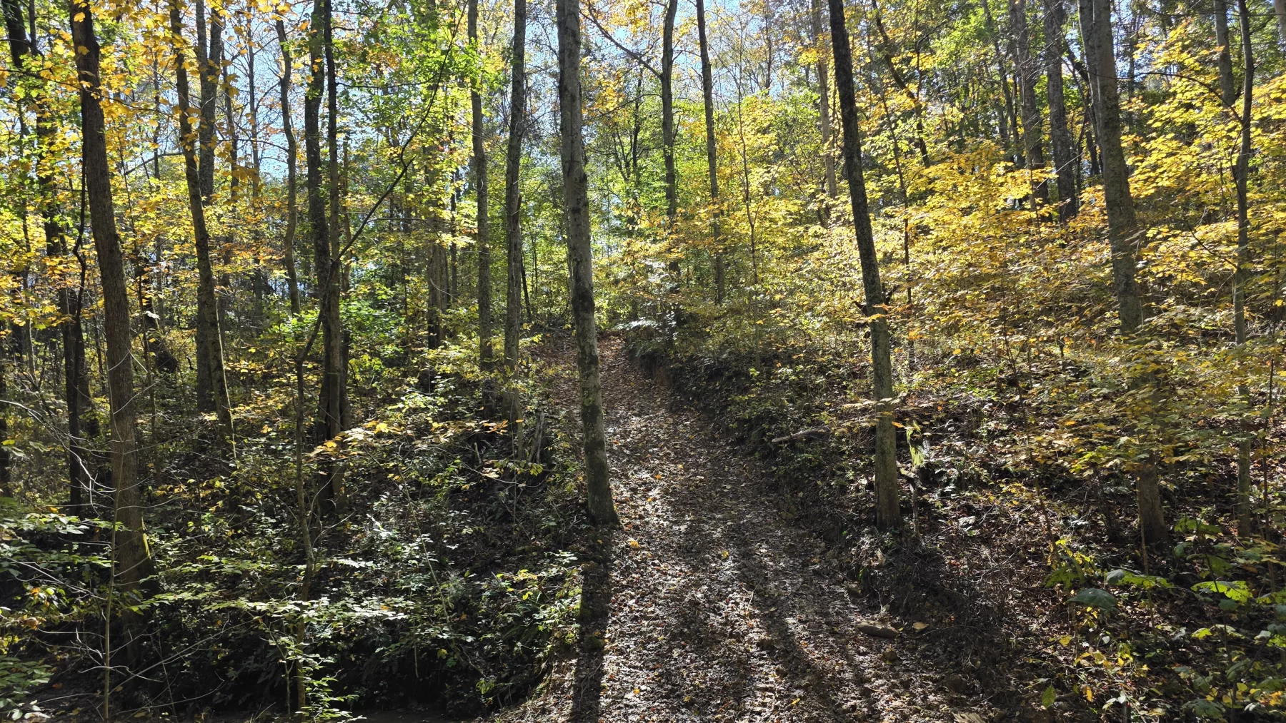 Lot 6 at Scenic Hills property photo 20
