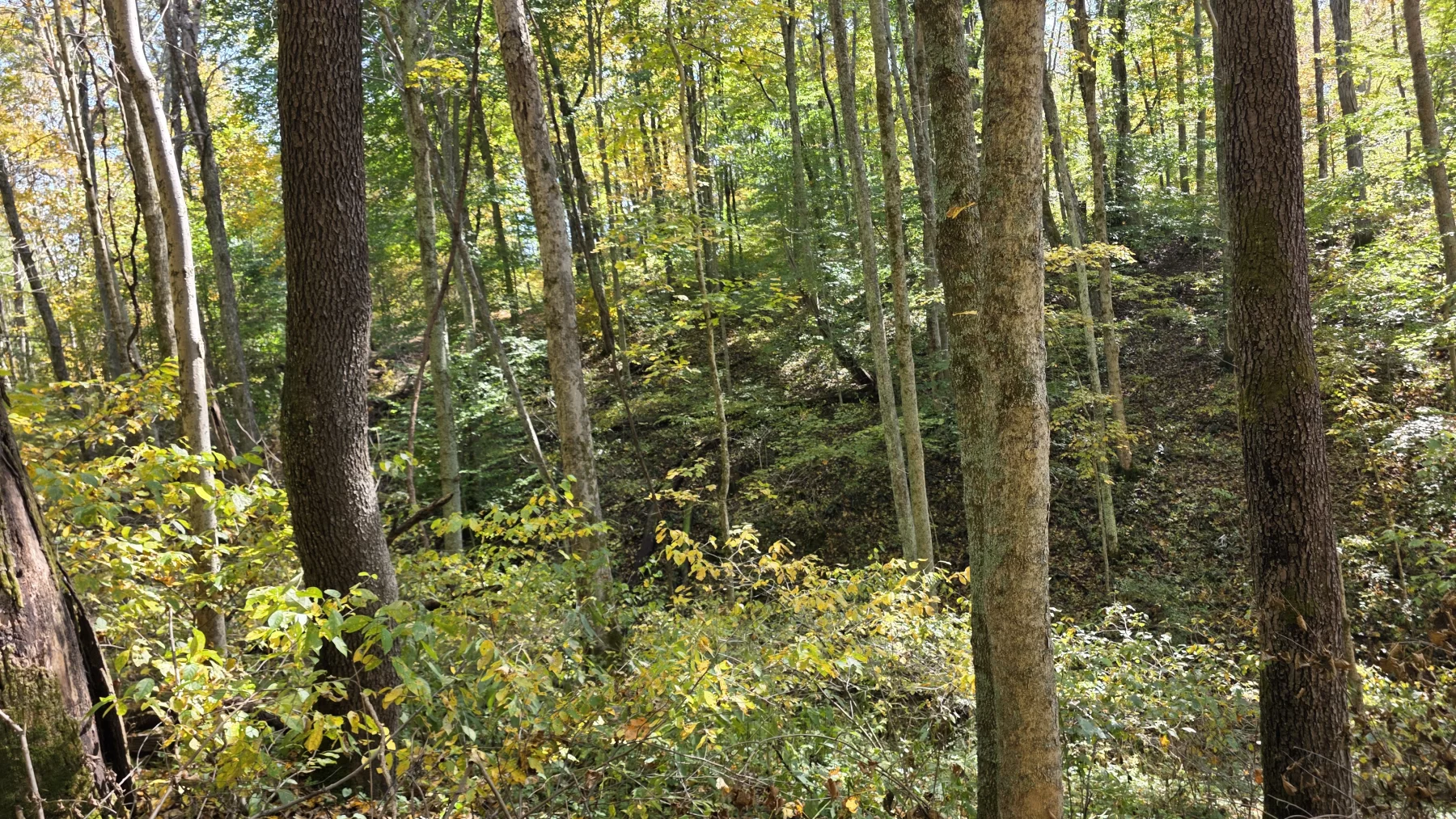 Lot 6 at Scenic Hills property photo 21